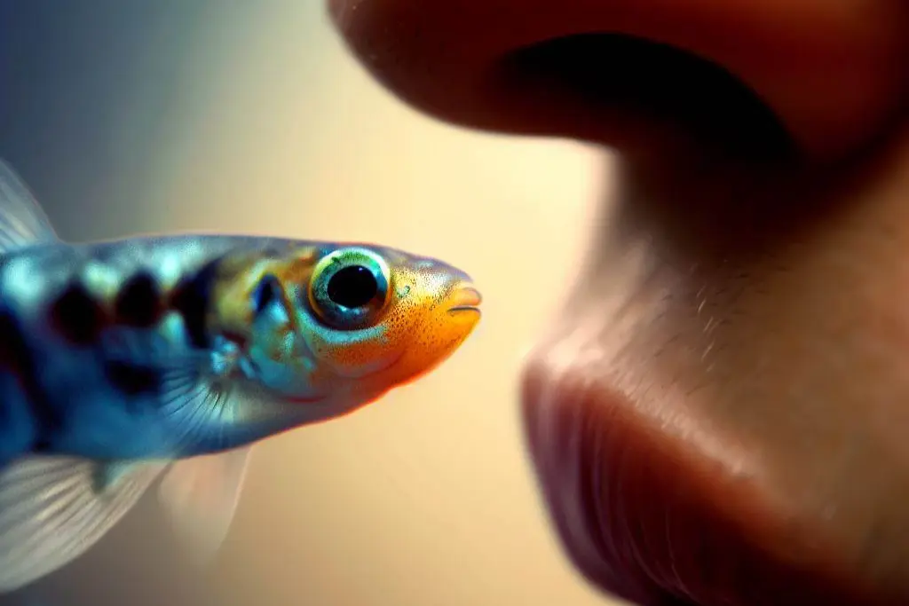 Introduction to Do Guppies Recognize Their Owners